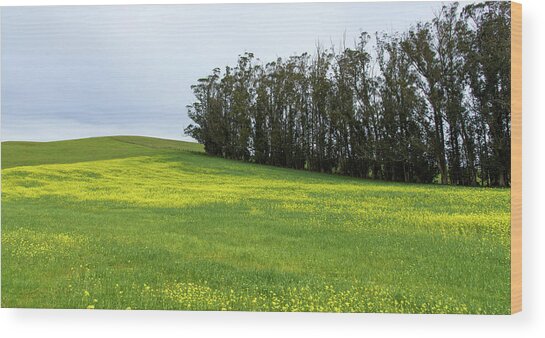 Rolling Hills With Blooming Wildflowers Wood Print