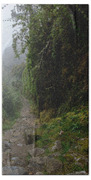 Misty Forest Pathway On The Inca Trail Beach Towel