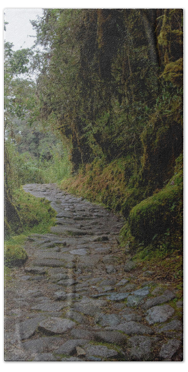 Moss-covered Path Through Lush Forest On The Inca Trail Hand Towel