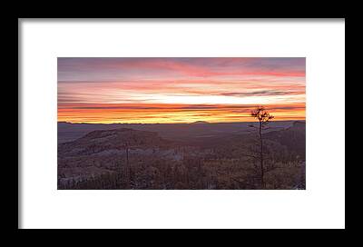 Shop for Wilderness Framed Prints