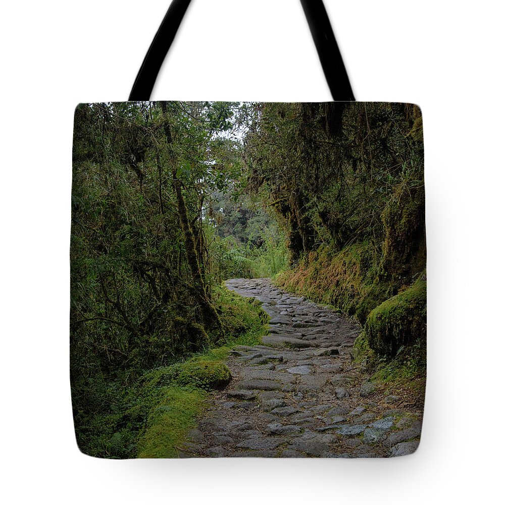 Moss-covered Path Through Lush Forest On The Inca Trail Tote Bag