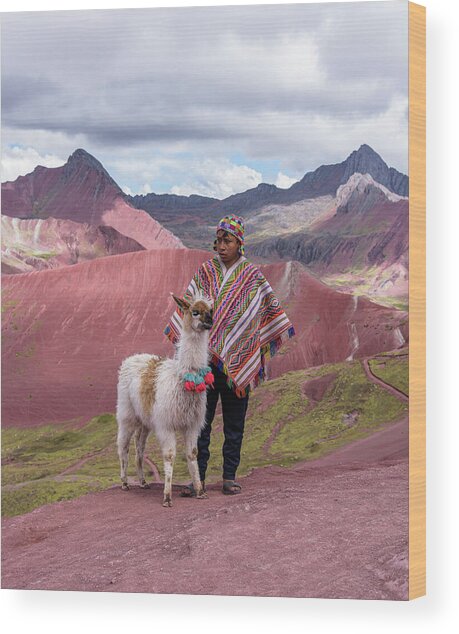 Peruvian Scene With Red Valley And Llama Wood Print