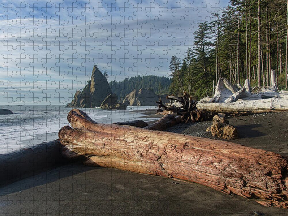 Driftwood on a Pebbled Beach Jigsaw Puzzle