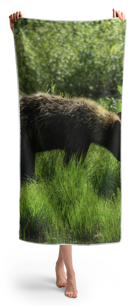 Solitary Bear In Grand Teton National Park Beach Towel