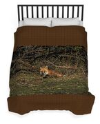 Fox Resting In Sunlit Clearing Duvet Cover