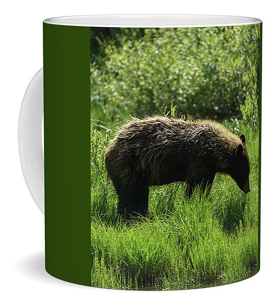 Solitary Bear In Grand Teton National Park Coffee Mug