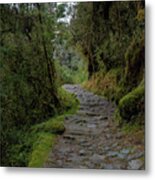 Moss-covered Path Through Lush Forest On The Inca Trail Metal Print