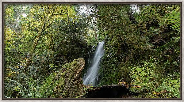 Serene Waterfall in Lush Forest Framed Print