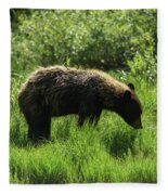 Solitary Bear In Grand Teton National Park Fleece Blanket