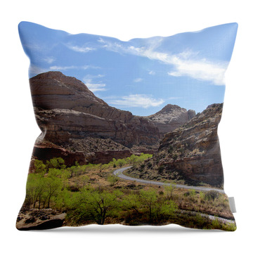 Winding Road Through Desert Canyon Throw Pillow