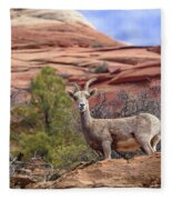 Big Horn Sheep In Zion National Park Fleece Blanket