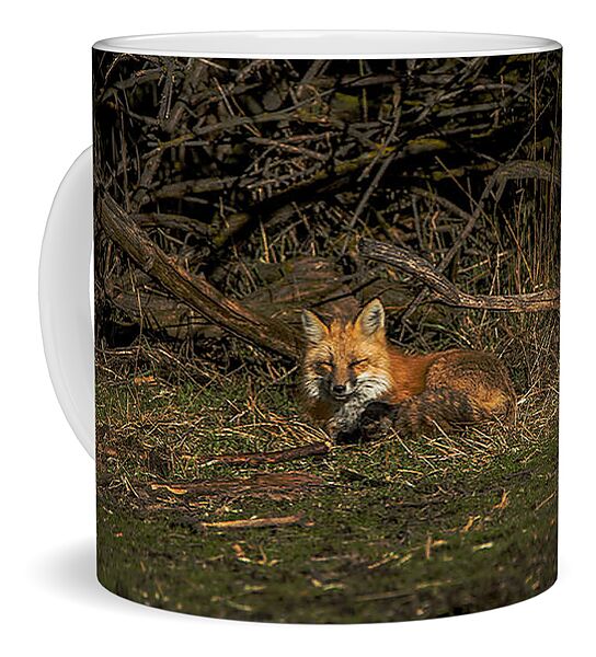 Fox Resting In Sunlit Clearing Coffee Mug