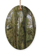 Moss-Covered Trees in a Dense Forest Ornament