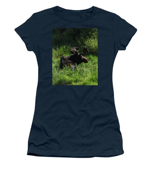 Moose Resting In Sunlit Meadow In Grand Teton National Park Women's T-Shirt