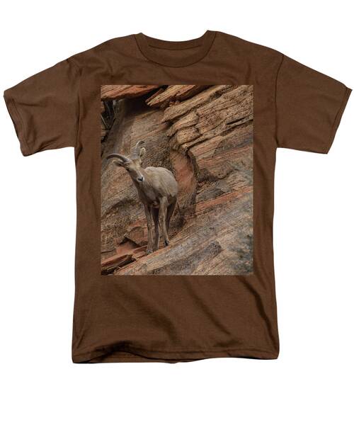 Bighorn Sheep On Rocky Terrain Men's T-Shirt  (Regular Fit)
