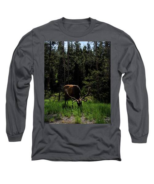 Elk Grazing In A Sunlit Forest In Grand Teton National Park Long Sleeve T-Shirt