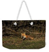 Fox Resting In Sunlit Clearing Weekender Tote Bag