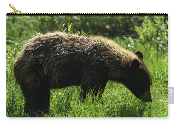 Solitary Bear In Grand Teton National Park Zip Pouch