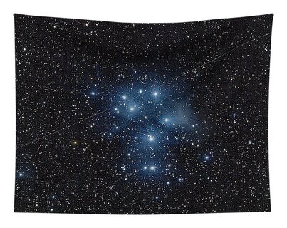 Shop for  Tapestries