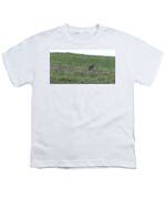 Bobcat in Grassy Field Youth T-Shirt