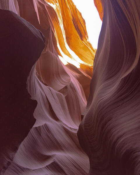Curves Of Sunlit Antelope Canyon Walls Poster