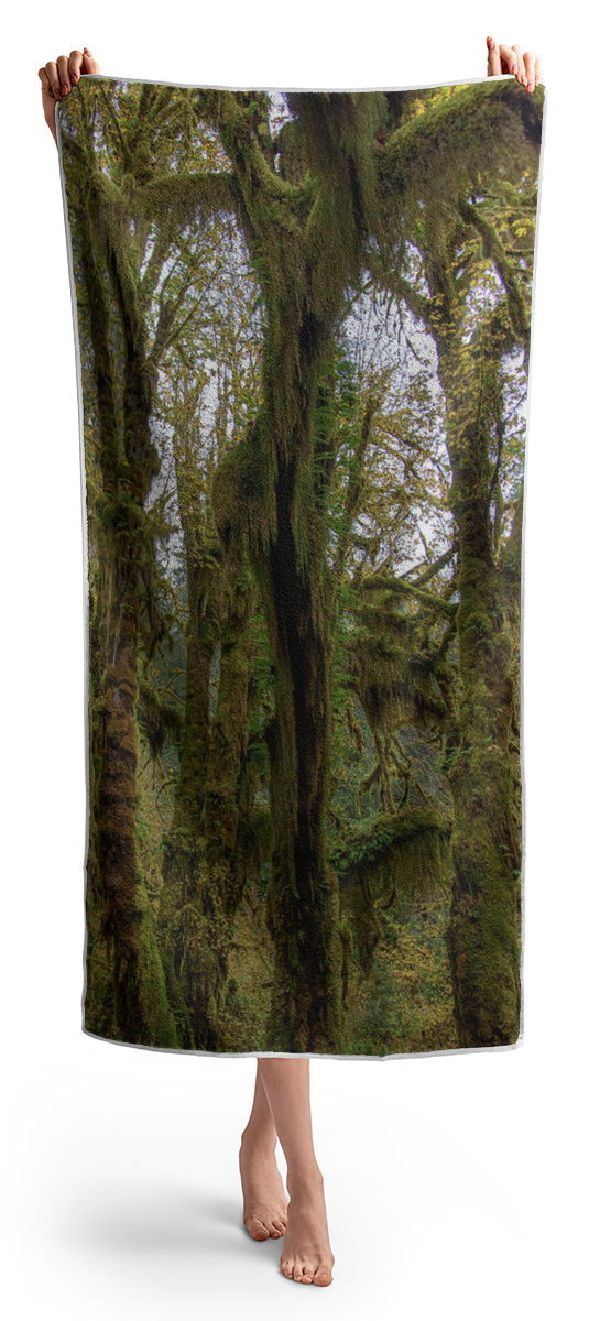 Moss-Covered Trees in a Dense Forest Beach Towel