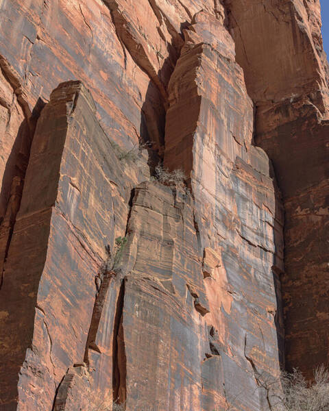 Towering Desert Sandstone Cliffs In Zion National Park Poster