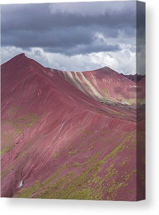 Vibrant Canvas Prints