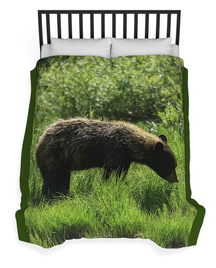 Solitary Bear In Grand Teton National Park Duvet Cover