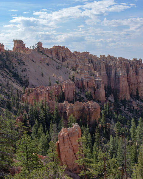 Majestic Bryce Canyon Hoodoos Art Print