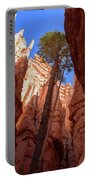Tree Reaches Skyward In Bryce Canyon National Park Portable Battery Charger
