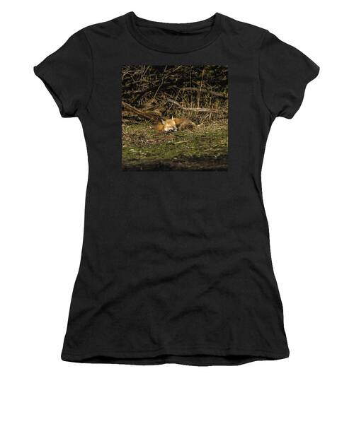 Peaceful Fox in Sunlit Meadow Women's T-Shirt by Brandon Wichmann
