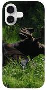 Moose Resting In Sunlit Meadow In Grand Teton National Park iPhone Case