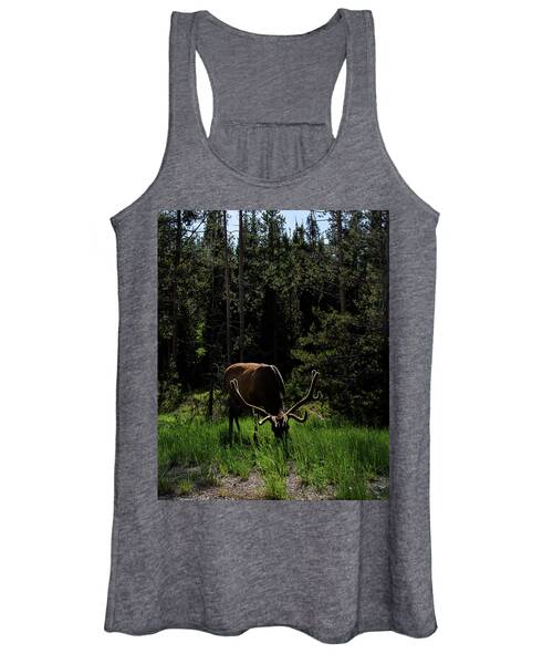 Elk Grazing In A Sunlit Forest In Grand Teton National Park Women's Tank Top