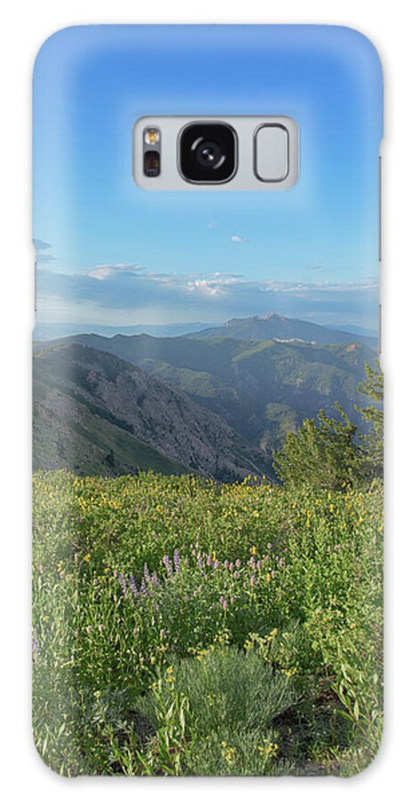 Mountain View with Wildflowers Galaxy Case