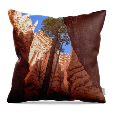 Tree Reaches Skyward In Bryce Canyon National Park Throw Pillow