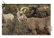Mountain Goats in Natural Habitat Zip Pouch