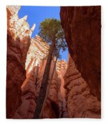 Tree Reaches Skyward In Bryce Canyon National Park Fleece Blanket
