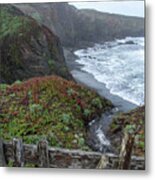 Rocky Coastline With Vibrant Foliage Metal Print