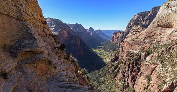 Breathtaking Zion Canyon View Poster