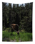 Elk Grazing In A Sunlit Forest In Grand Teton National Park Tapestry