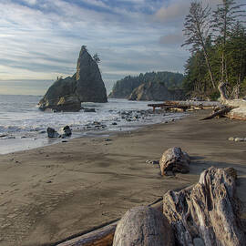 Rugged Coastal Landscape by Brandon Wichmann