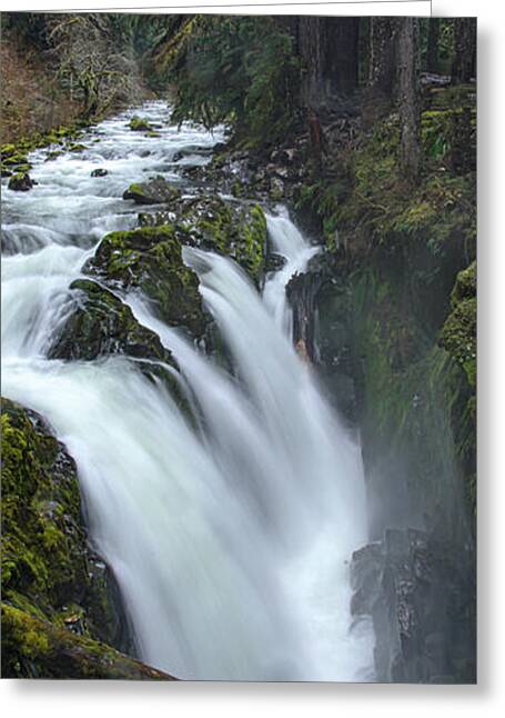 Olympic National Park Greeting Cards