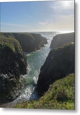 Shop for California Metal Prints