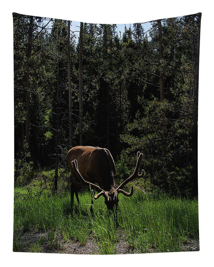Elk Grazing In A Sunlit Forest In Grand Teton National Park Tapestry