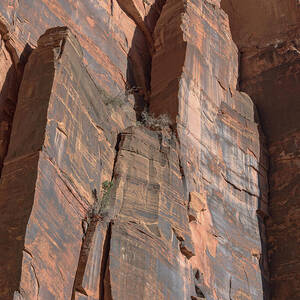 Towering Desert Sandstone Cliffs in Zion National Park by Brandon Wichmann