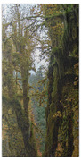 Moss-Covered Forest Trees Bath Towel
