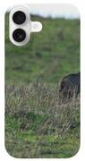 Bobcat in Grassy Field iPhone Case