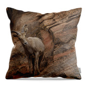 Bighorn Sheep On Rocky Terrain Throw Pillow