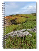 Coastal Landscape with Driftwood Spiral Notebook